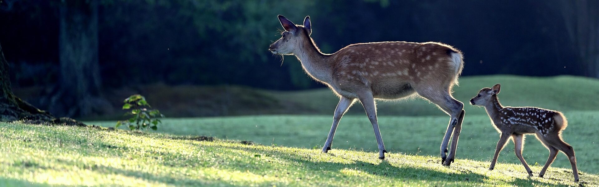 Read more about the article Heinäkuu 25 – Vanhempainvapaan autuutta