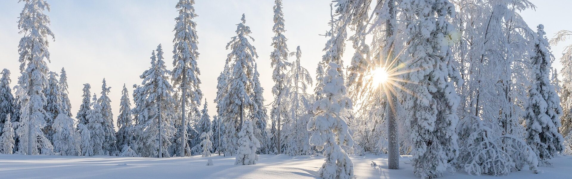 Read more about the article Tammikuu 26 – Jäinen alku vuodelle